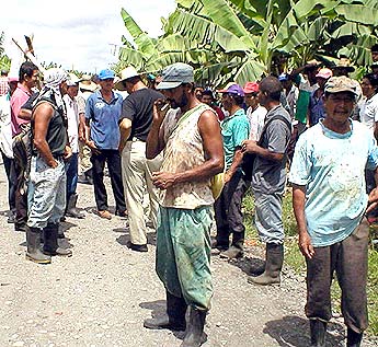 Imagen foto