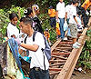 Imagen foto