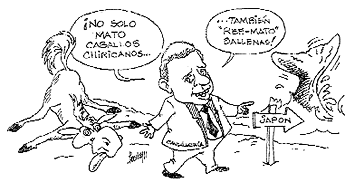 Imagen foto