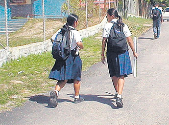 haga click para ampliar la imagen