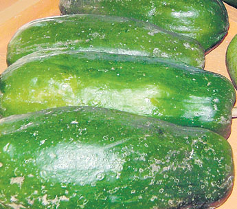 haga click para ampliar la imagen