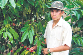 haga click para ampliar la imagen