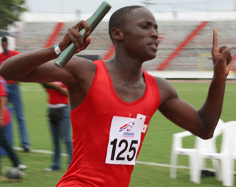 haga click para ampliar la imagen