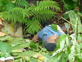 haga click para ampliar la imagen