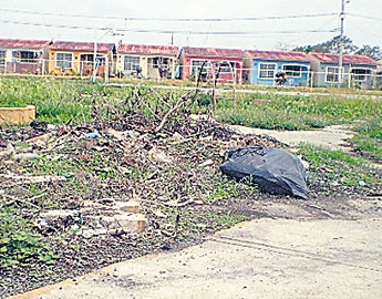 haga click para ampliar la imagen