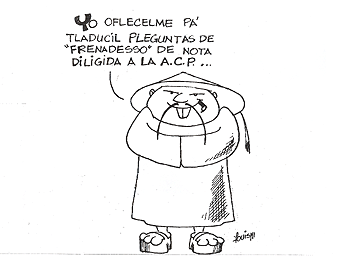 Imagen foto
