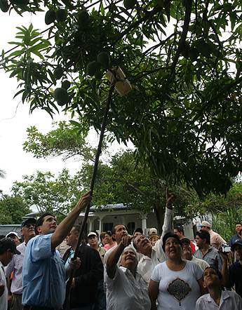 Imagen foto