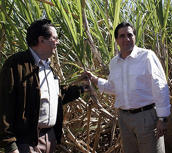 Imagen foto