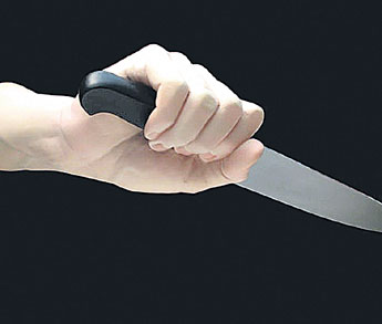 haga click para ampliar la imagen