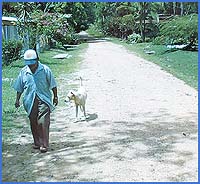 Imagen foto