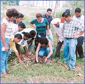 Imagen foto