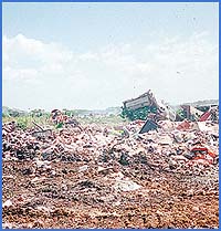 Imagen foto