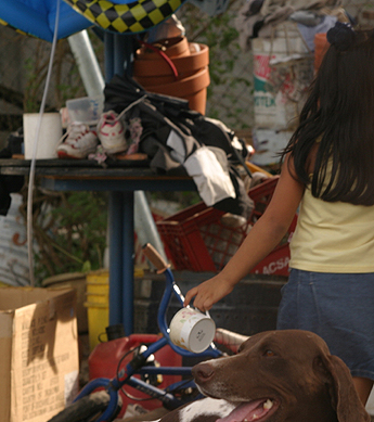 Imagen foto