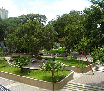 Imagen foto