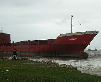 Imagen foto