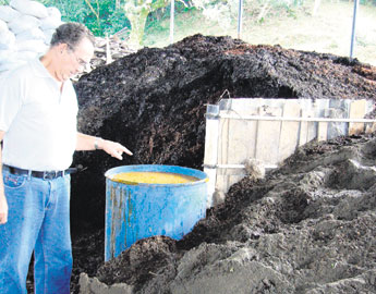 haga click para ampliar la imagen