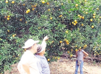 haga click para ampliar la imagen