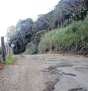 Imagen foto