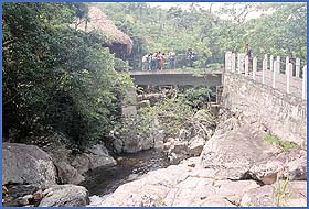 Imagen foto