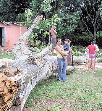 Imagen foto