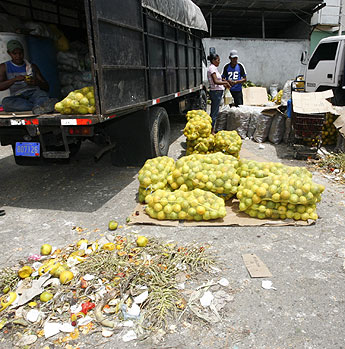 Imagen foto