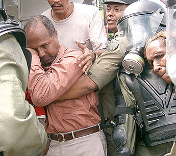 Imagen foto