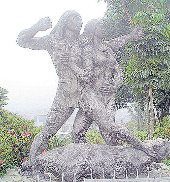 Imagen foto