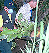 Imagen foto