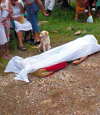 Imagen foto
