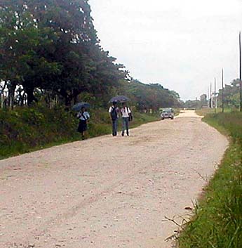 Imagen foto