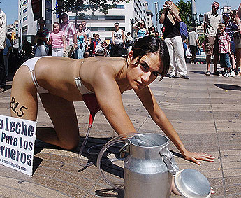 Imagen foto
