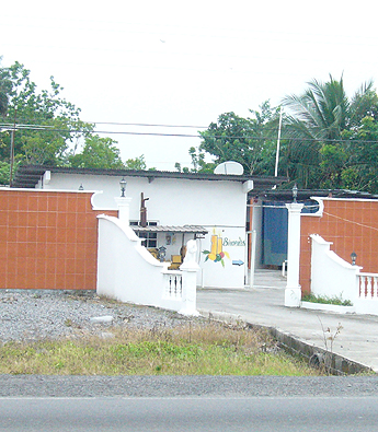 Imagen foto
