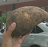 Imagen foto