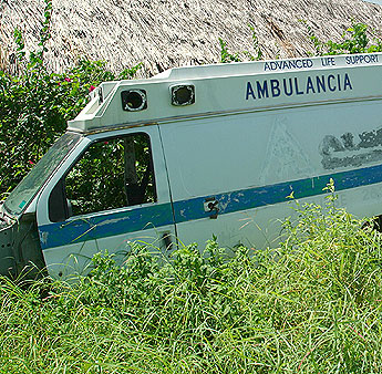 Imagen foto