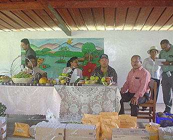 Imagen foto
