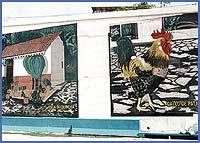 Imagen foto