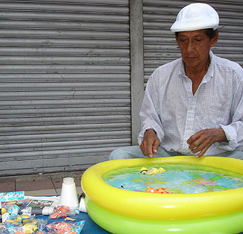 Imagen foto