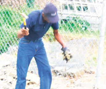 haga click para ampliar la imagen