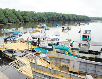 haga click para ampliar la imagen