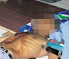 haga click para ampliar la imagen