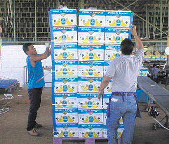 haga click para ampliar la imagen