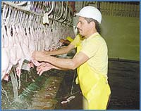 Imagen foto