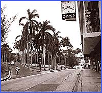 Imagen foto