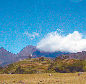 Imagen foto