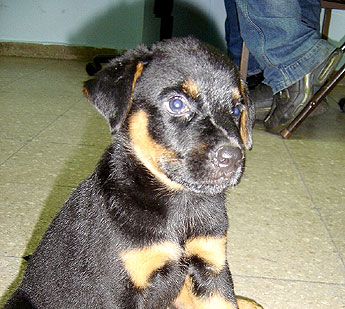 Imagen foto