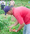 Imagen foto
