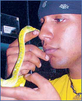 Imagen foto