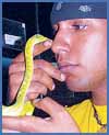 Imagen foto