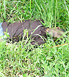 Imagen foto