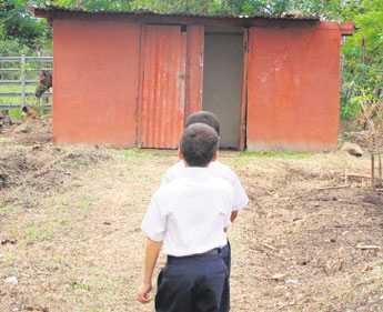 haga click para ampliar la imagen